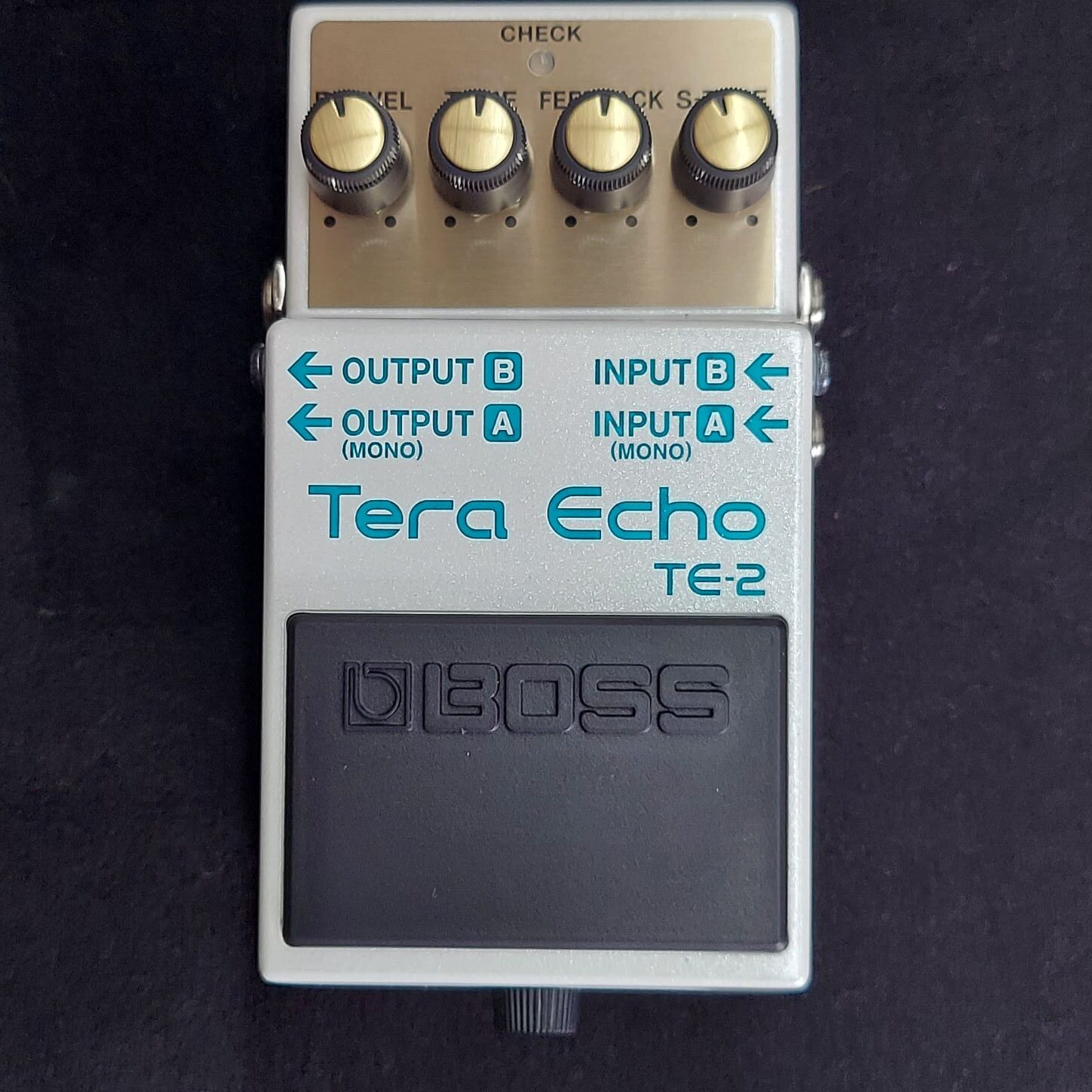 BOSS Tera Echo TE-2