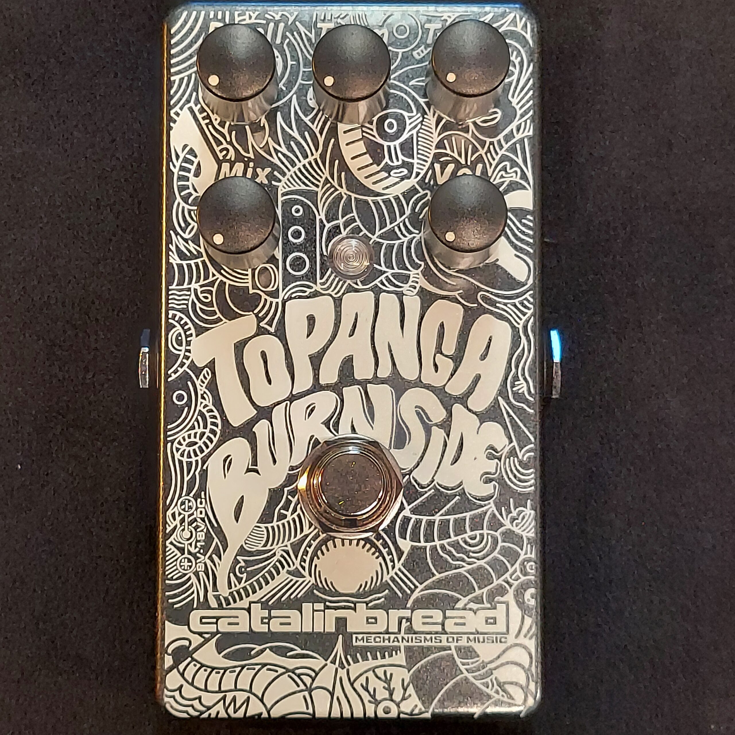 Georgetown MusicCatalinbread Topanga Burnside Reverb